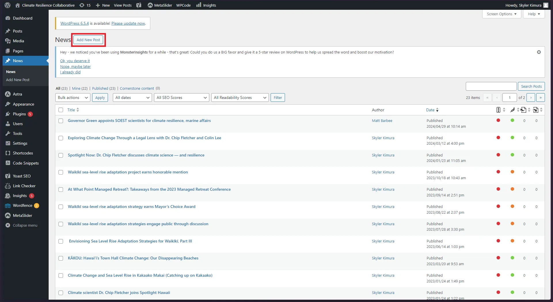 Wordpress Add New Post